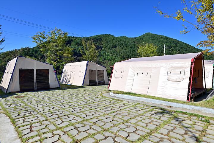 자양보오토캠핑장 캠핑장 사진