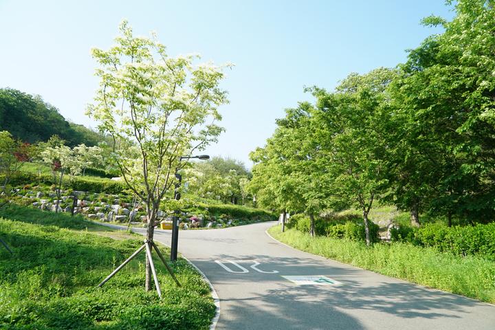 천왕산 가족캠핑장 캠핑장 사진