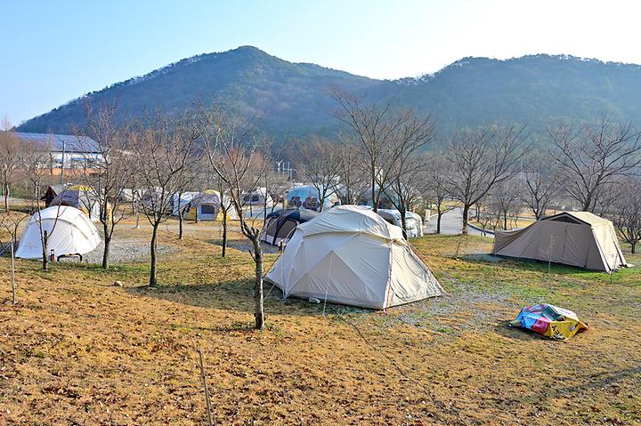 보다더캠핑 캠핑장 사진