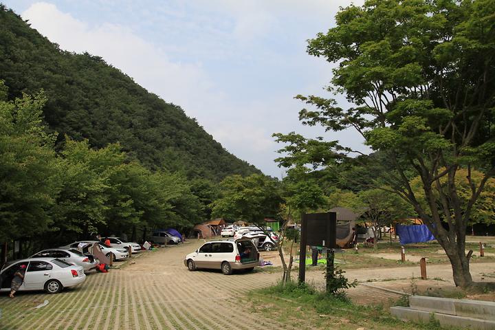 덕동자동차야영장 캠핑장 사진