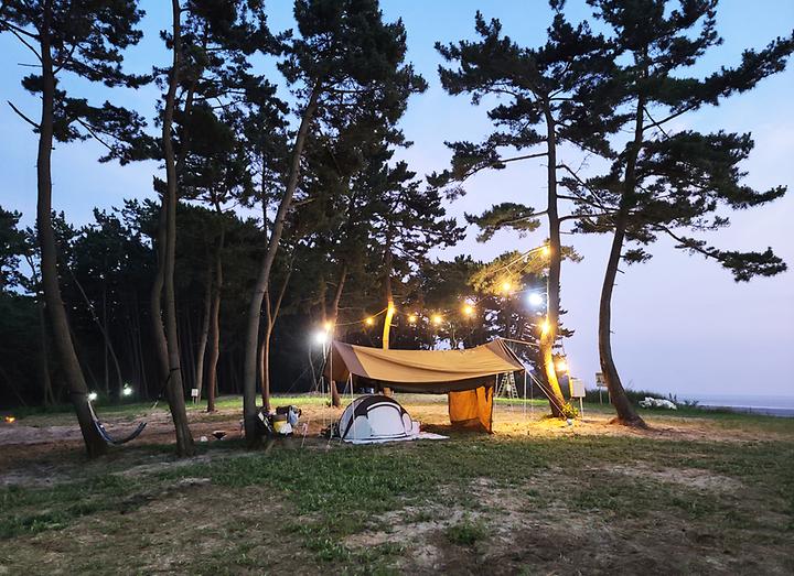 태안노을숲캠핑장 캠핑장 사진