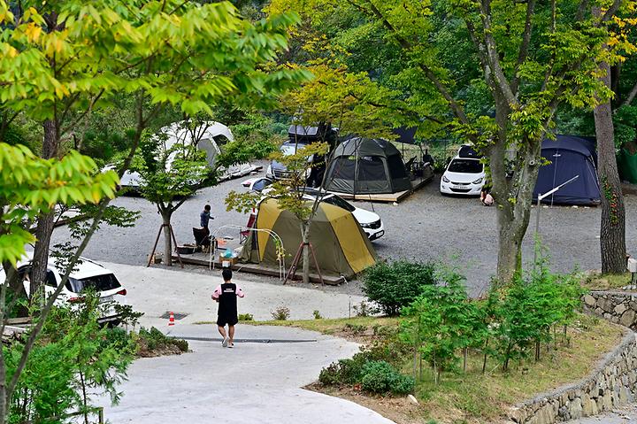 평암189캠핑장 캠핑장 사진