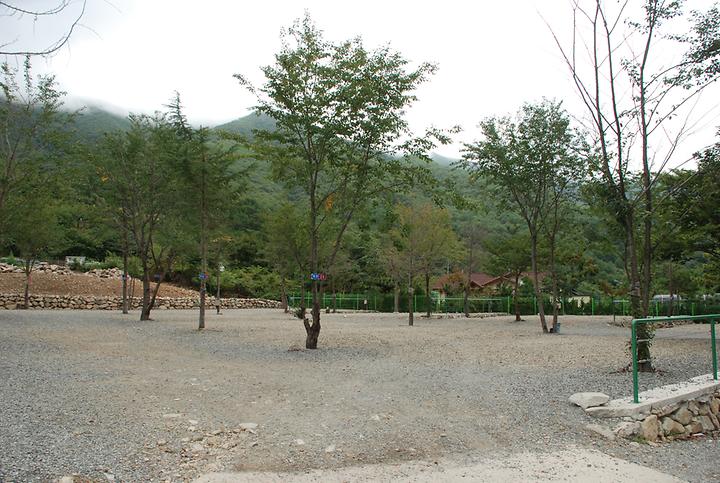 에코밸리 캠프 캠핑장 사진