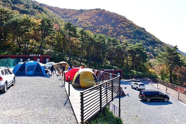 도래재별빛마을캠핑장 캠핑장 사진