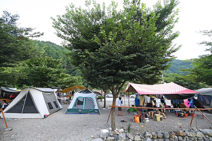 둘레길관광농원 캠핑장 사진