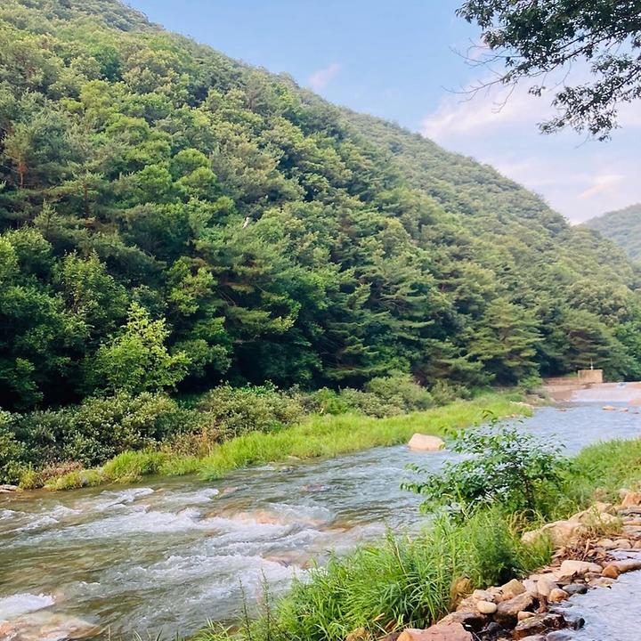 노문 야영장 캠핑장 사진